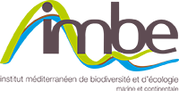 Logo IMBE